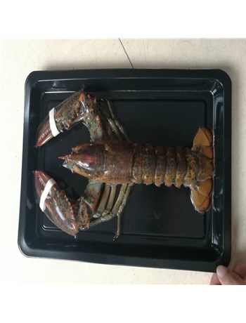 產品好不好，效果來說話（浙江客戶現場試機）